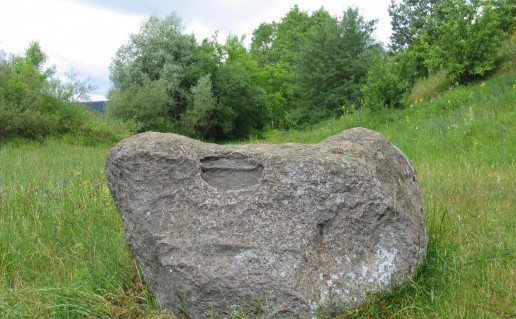 17_jaučio pėda fot br. Čern..jpg